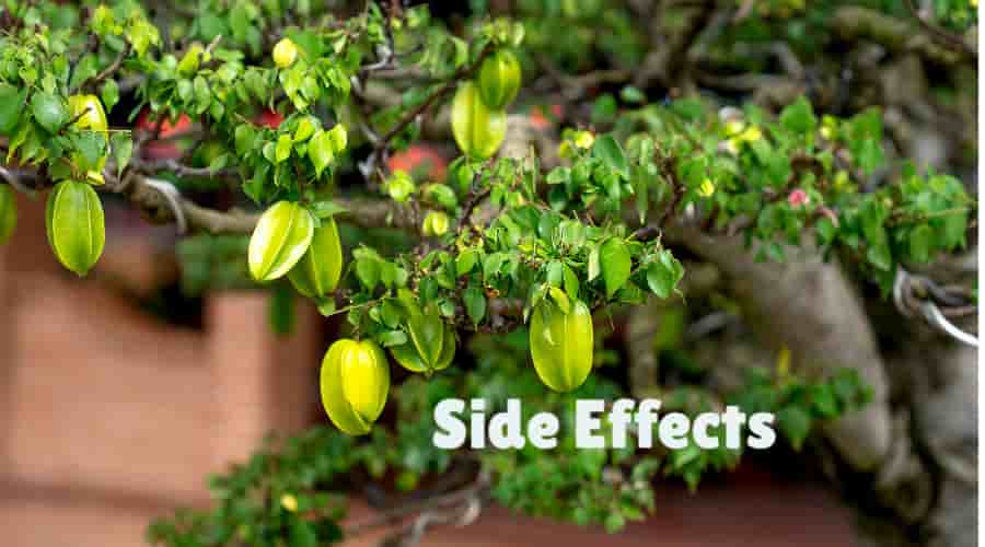 side effects start fruit