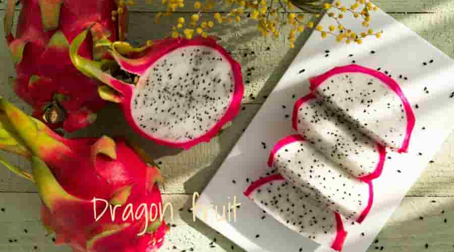 dragonfarmbusiness VsDevInfo Tech dragon fruit business