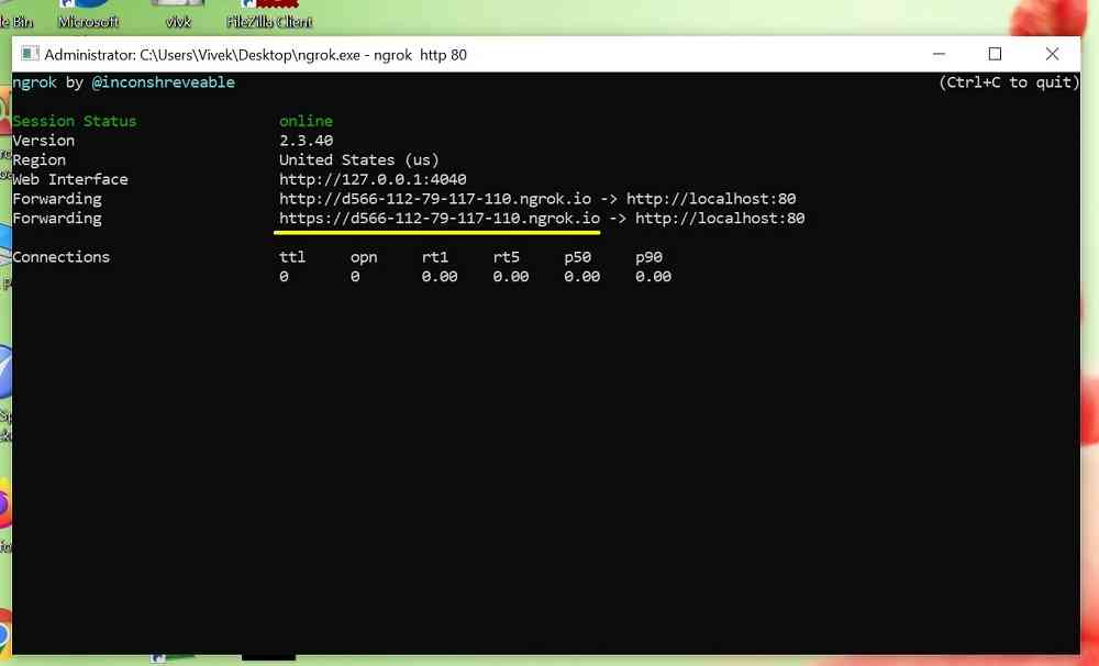 ngrok2 VsDevInfo Tech ngrok in widows OS as server