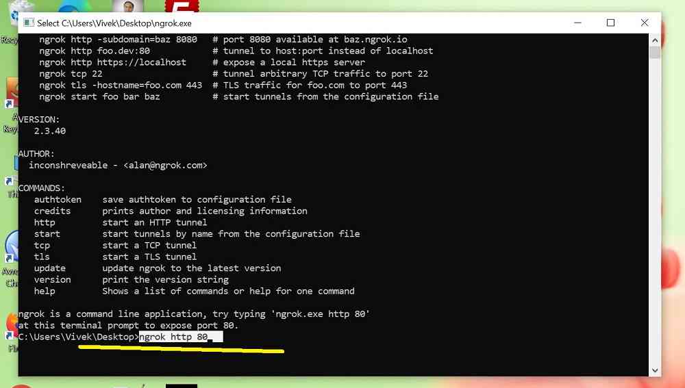 ngrok1 VsDevInfo Tech ngrok setting