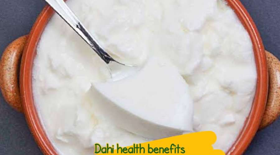 dahibenefits VsDevInfo Tech Dahi bacteria health benefits