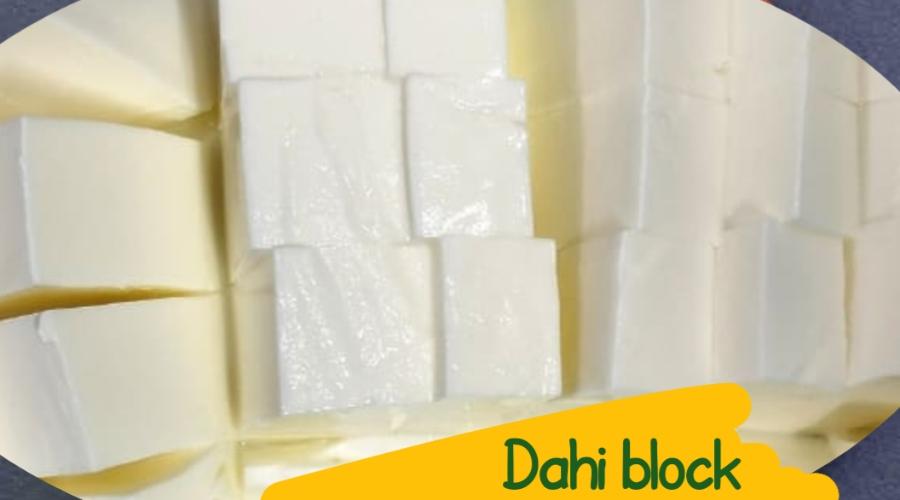 dahiblock VsDevInfo Tech Dahi bacteria dahi body