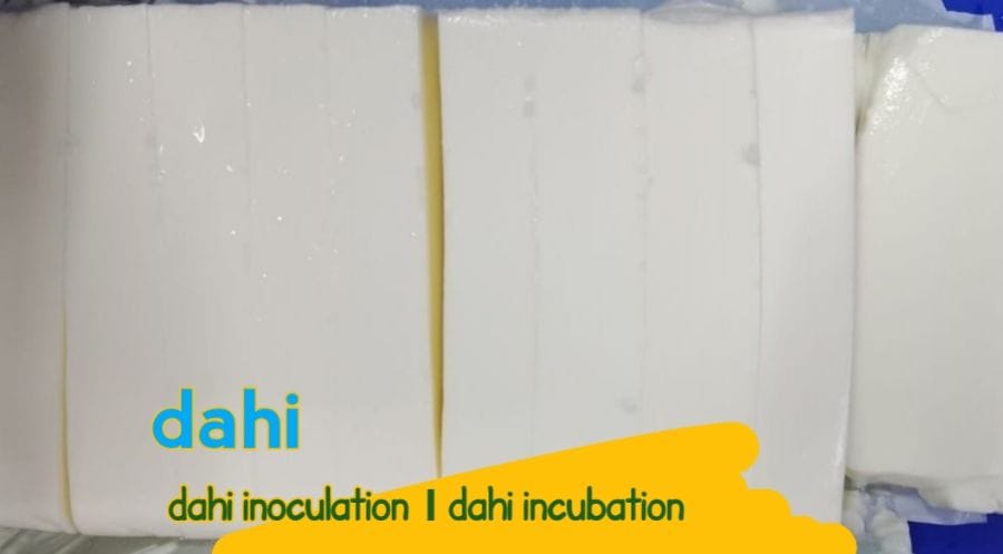 dahibody VsDevInfo Tech Dahi slicing
