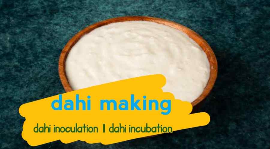 Dahi making