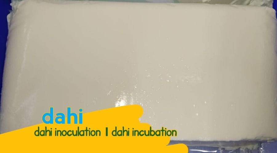 firmdahi VsDevInfo Tech Dahi firm body