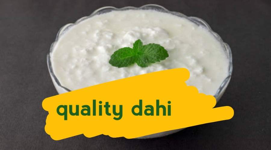 makedahihome VsDevInfo Tech Quality dahi