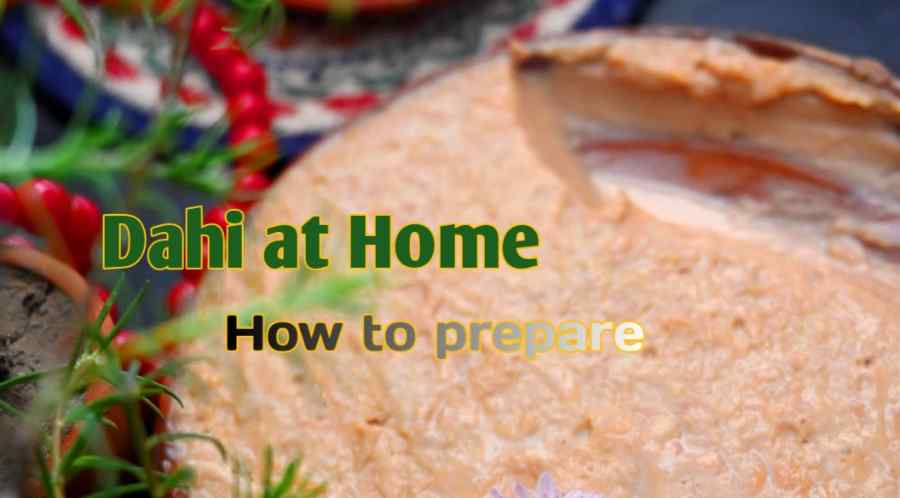 Dahi making at home