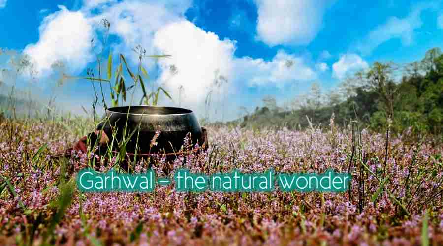 ultimate guide valley of flowers garhwal