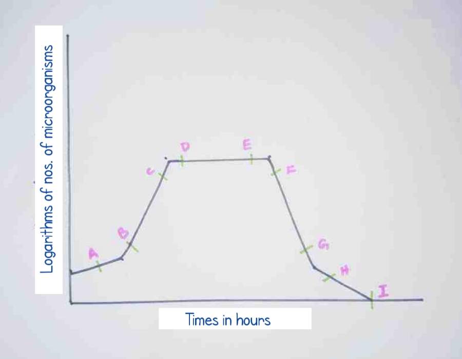 growthcurvemicroorganisms VsDevInfo Tech