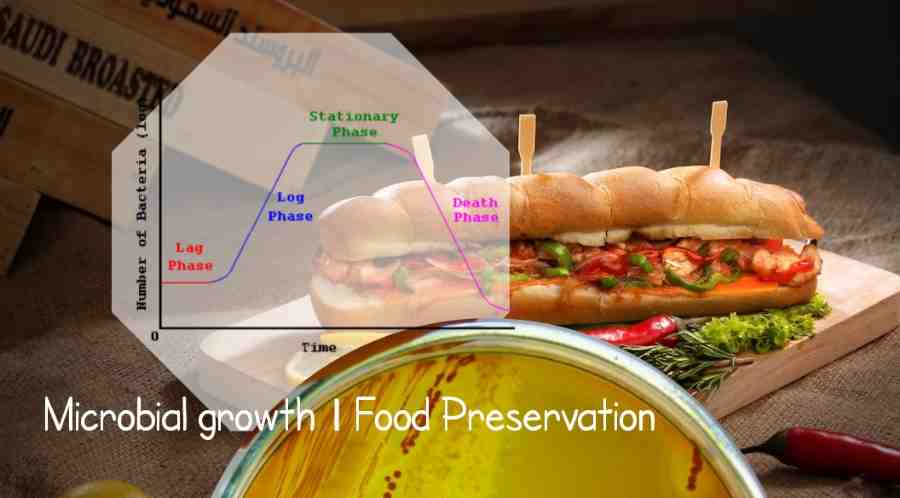 Microbial growth food preservation