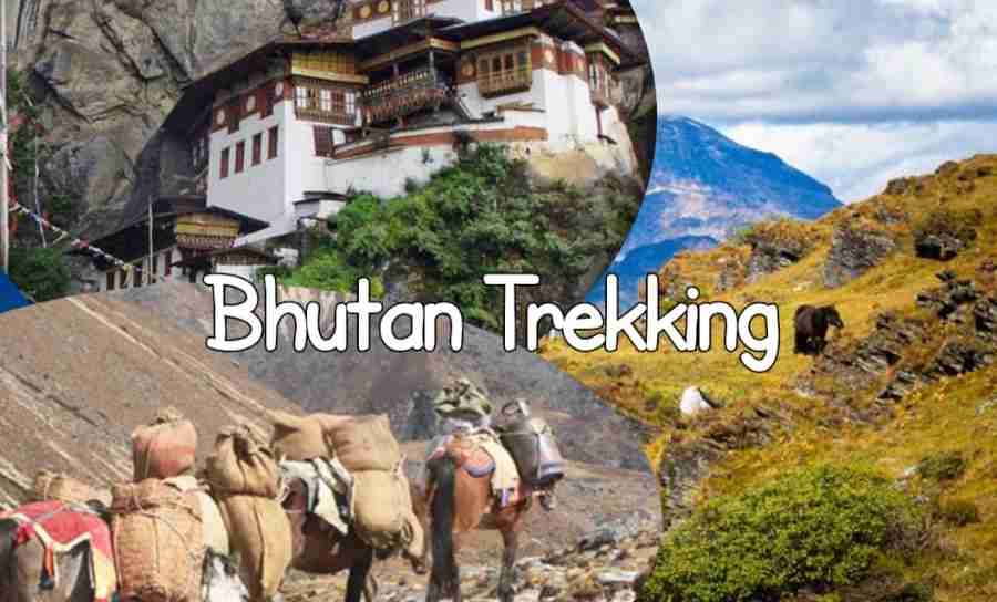 Bhutan Trekking spot