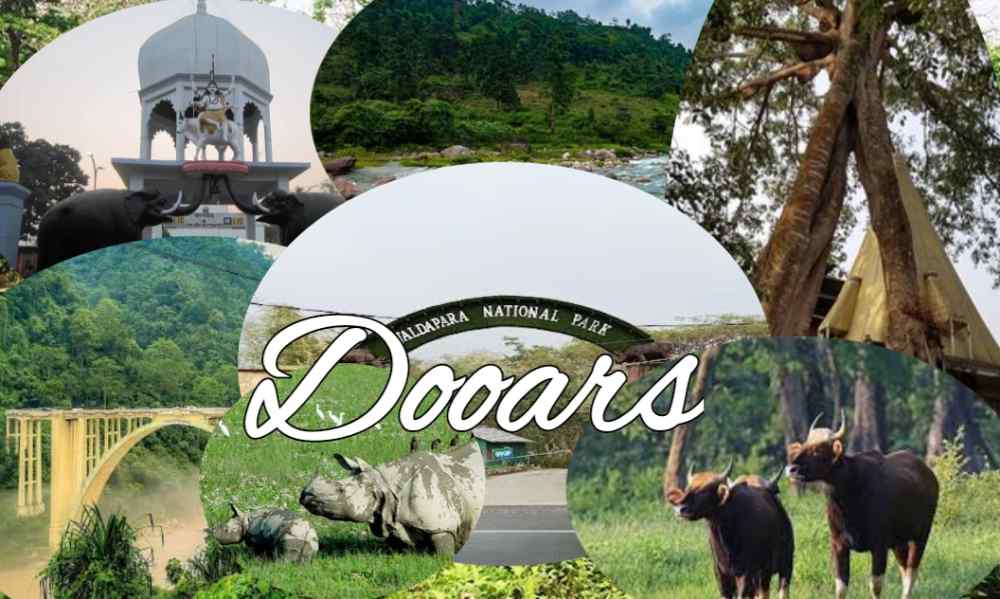 dooars jaldapara tour