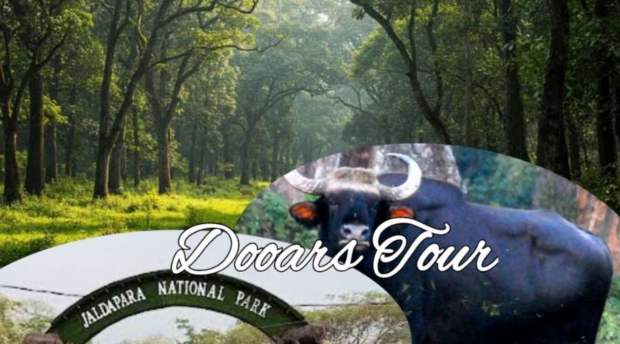 Dooars coochbehar tour Northbengal