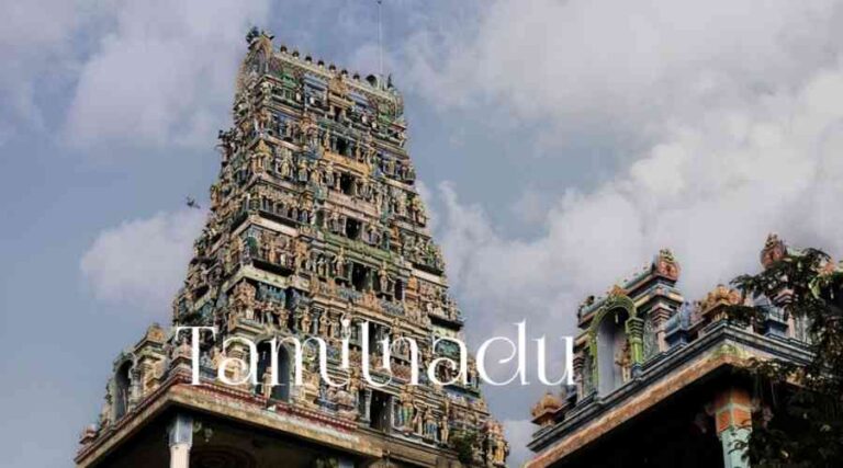Tamilnadu southern culture